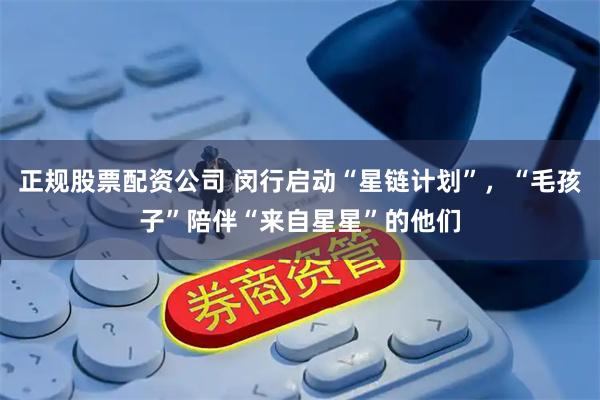 正规股票配资公司 闵行启动“星链计划”，“毛孩子”陪伴“来自星星”的他们